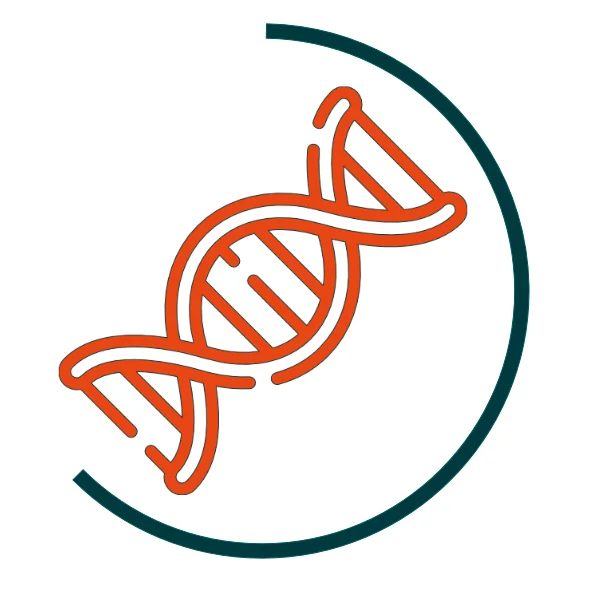 Icon symbolising DNA analysis workflows: orange double helix, surrounded by a dark green semicircular arc