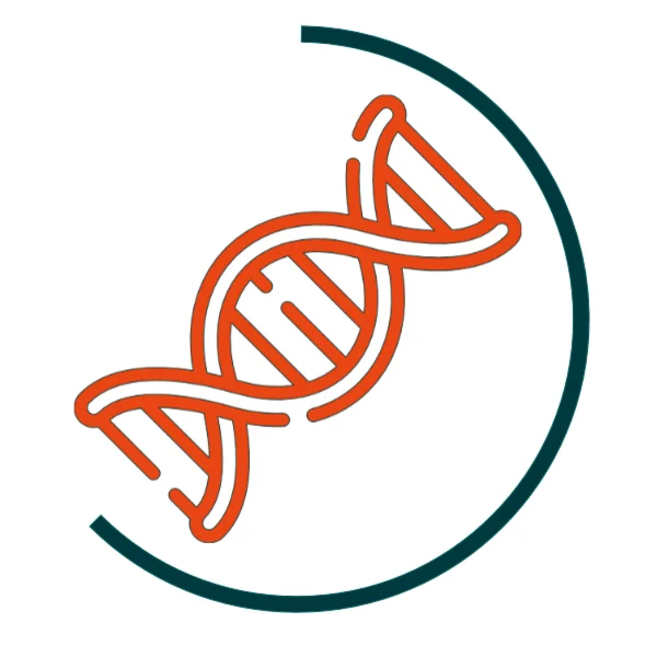 Icon für DNA-Analyse-Workflows: Orangefarbene Doppelhelix, umgeben von einem halbkreisförmigen dunkelgrünen Bogen