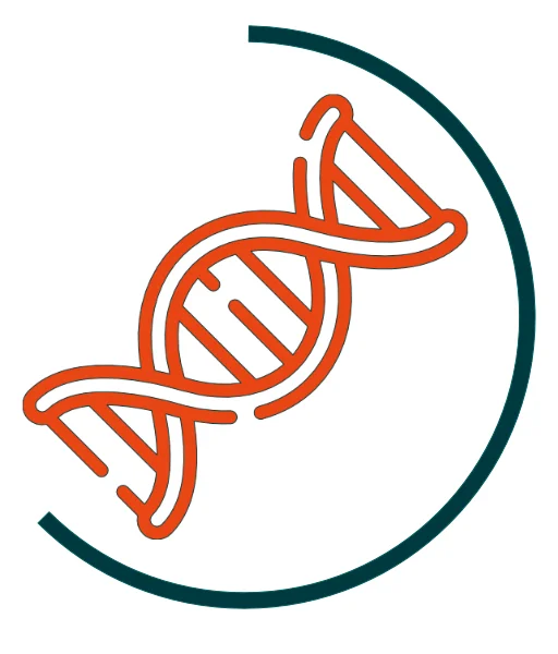 Icon für DNA-Analyse-Workflows: Orangefarbene Doppelhelix, umgeben von einem halbkreisförmigen dunkelgrünen Bogen