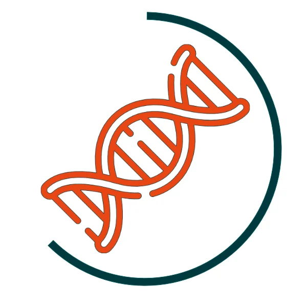 Icon für DNA-Analyse-Workflows: Orangefarbene Doppelhelix, umgeben von einem halbkreisförmigen dunkelgrünen Bogen