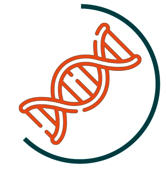 Icon symbolising DNA analysis workflows: orange double helix, surrounded by a dark green semicircular arc