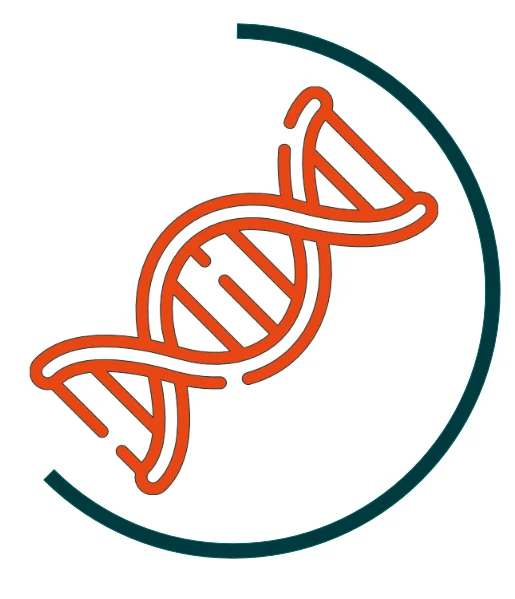 Icon für DNA-Analyse-Workflows: Orangefarbene Doppelhelix, umgeben von einem halbkreisförmigen dunkelgrünen Bogen