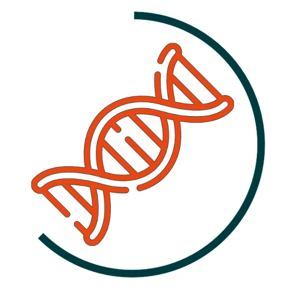 Icon für DNA-Analyse-Workflows: Orangefarbene Doppelhelix, umgeben von einem halbkreisförmigen dunkelgrünen Bogen