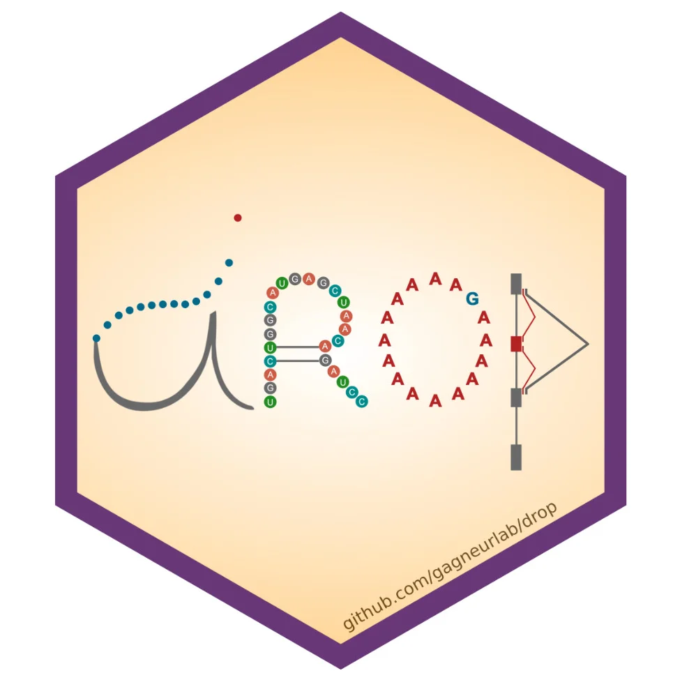Logo für DROP: Sechseckige Form mit violettem Rand, die das Wort „Drop“ zeigt, gebildet aus RNA-Sequenzelementen und Basenpaarungen