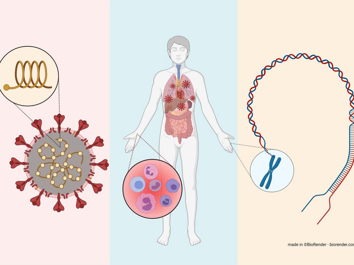 Launch of CoFGen – A data collection for Functional Genomics in COVID-19