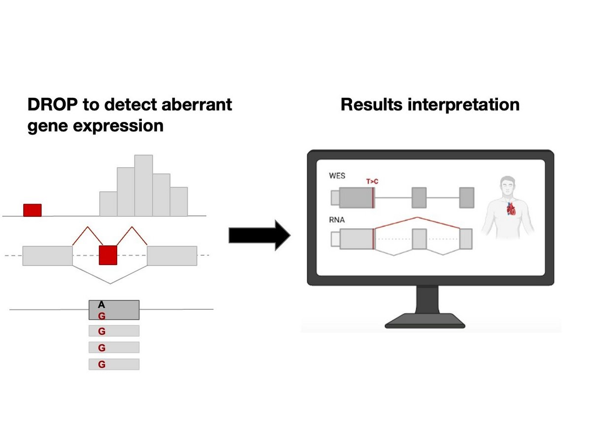 Clinical implementation of RNA sequencing in rare genetic disorders