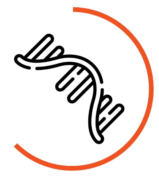 Icon für RNA-Analyse-Workflows: Grüner RNA-Strang, umgeben von einem halbkreisförmigen orangefarbenen Bogen“