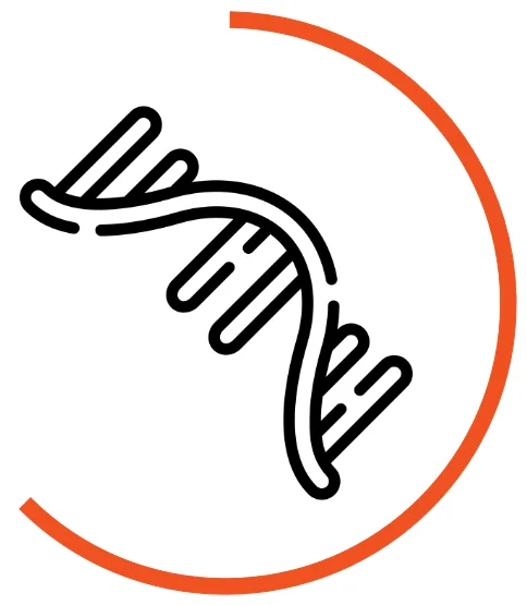 Icon für RNA-Analyse-Workflows: Grüner RNA-Strang, umgeben von einem halbkreisförmigen orangefarbenen Bogen“