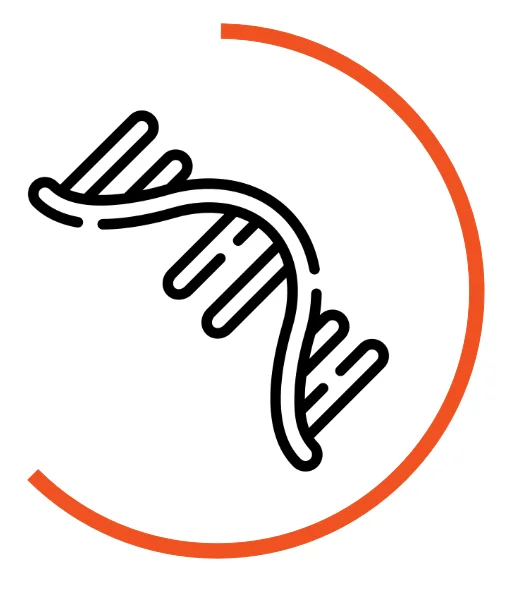 Icon symbolising RNA analysis workflows: green RNA strand, surrounded by an orange semicircular arc
