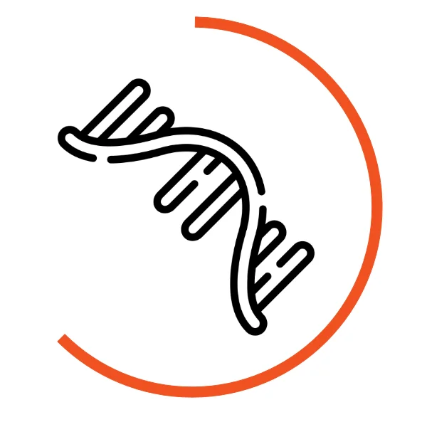Icon für RNA-Analyse-Workflows: Grüner RNA-Strang, umgeben von einem halbkreisförmigen orangefarbenen Bogen“