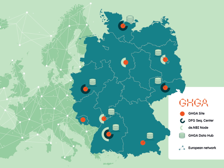 Role of GHGA within the genomDE model project solidifies