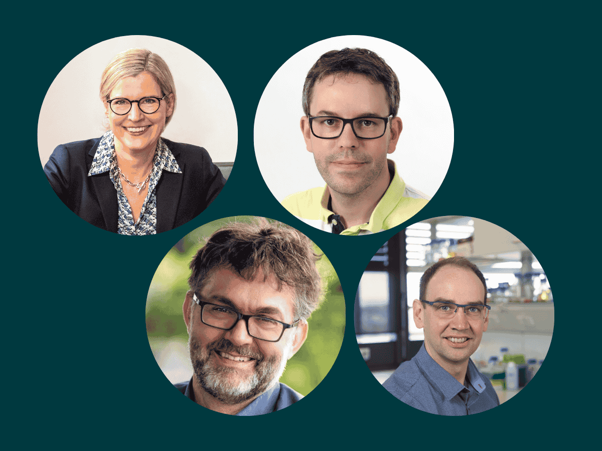 Collage des neuen GHGA-Direktoriums: Auf vier Bildern vor dunkelgrünem Hintergrund sind Juliane Winkelmann, Oliver Stegle, Stefan Wesner und Oliver Kohlbacher zu sehen.
