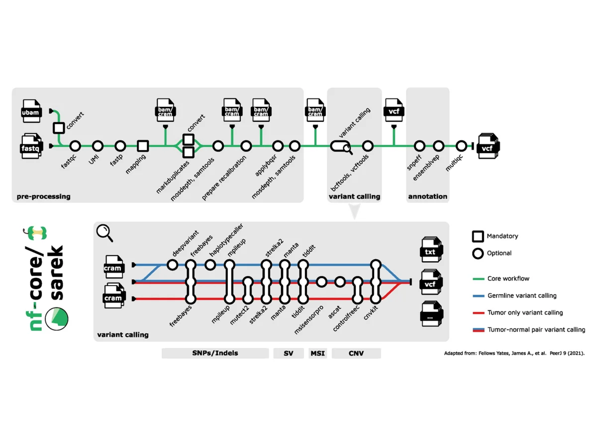 Advances in scalable DNA sequencing analysis: nf-core/sarek 3