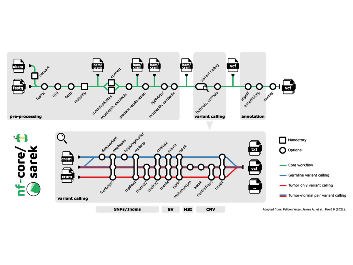 Fortschritte bei der skalierbaren DNA-Sequenzierungsanalyse: nf-core/sarek 3